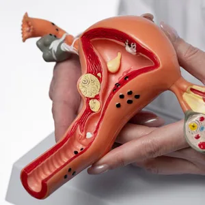 Obstetrics & Gynaecology